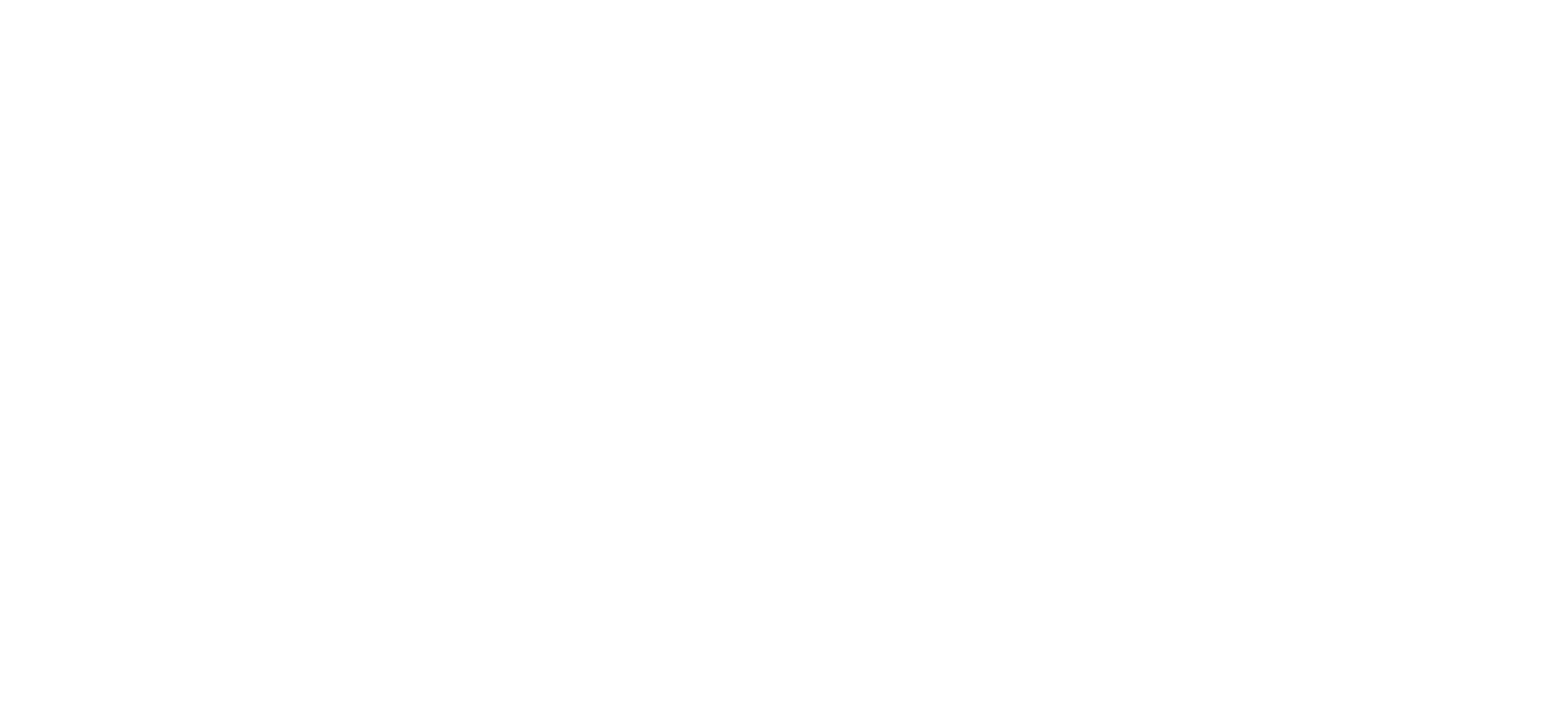The Silver Duck Mortgage Lending